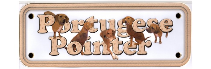 Portuguese Pointer Portuguese Pointer